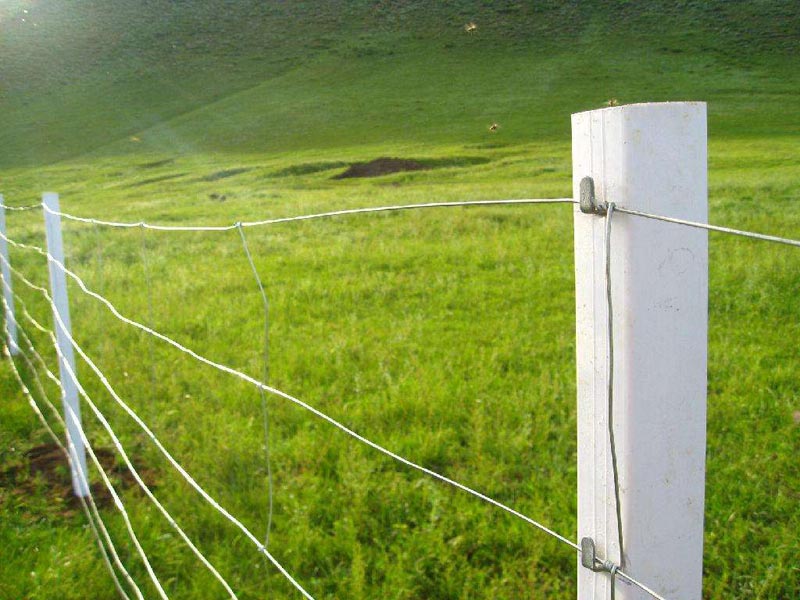 ��ԭ�o�ھW(w��ng)