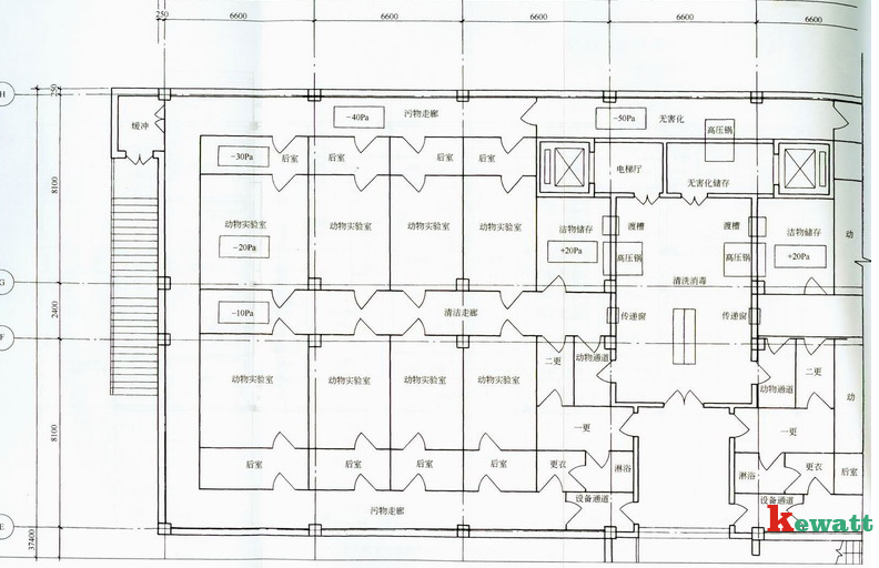 動物細(xì)胞實驗室設(shè)計圖